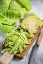 Sliced Savoy cabbage from organic grower farm. White background. Top view