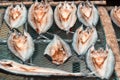 Sliced sea fish wilts in the open air. Vietnam Royalty Free Stock Photo