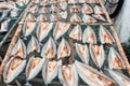 Sliced sea fish wilts in the open air. Vietnam Royalty Free Stock Photo