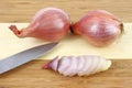 Sliced shallot on cutting board Royalty Free Stock Photo