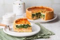 Sliced Spinach, cheese, onion and salmon fish tart or quiche.