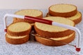 Sliced sponge cake with leveler on table for making wedding cake