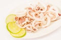Sliced squid in isolate on white. Royalty Free Stock Photo