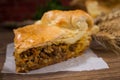 Sliced succulent meat pie with mushrooms and meat