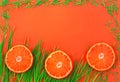 Bright summer banner with tangerines and green grass.