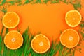 Bright summer banner with tangerines and green grass.