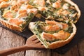 Sliced tart with salmon, spinach and cream close-up. horizontal Royalty Free Stock Photo