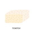 Sliced tempeh piece. Vegan organic fermented soybeans. Soy cheese isolated on white background. Flat vector cartoon