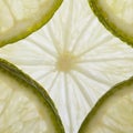 Sliced into thin slices fresh lime. macro. Royalty Free Stock Photo