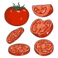 Sliced tomato colorful logotypes set