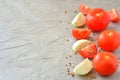 Sliced tomatoes and onions on a gray background