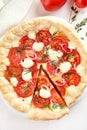 Sliced tomatoes pie Royalty Free Stock Photo