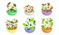 Sliced Vegetable and Fruit Salad Ingredients Falling Down in the Bowl Vector Set