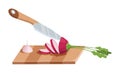 Sliced vegetable. Slicing radish by knife. Cutting on wooden board isolated on white background. Prepare to cooking