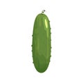 Whole Cucumber Flat Composition