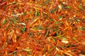 Sliced vegetables and kimchi sauce mixed together Ready to be applied on the cabbage soaked in brine to make kimchi in the next