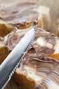 sliced white bread with sweet chocolate butter spread Royalty Free Stock Photo