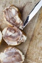 sliced white bread with sweet chocolate butter spread Royalty Free Stock Photo