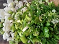 SLICED WHITE AND GREEN LEEKS ON A CUTTING BOARD. Royalty Free Stock Photo