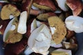 Sliced white mushrooms Royalty Free Stock Photo