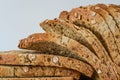 Sliced whole Grain Bread macro Royalty Free Stock Photo