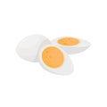 Sliced and whole hard boiled eggs vector Illustration on a white background Royalty Free Stock Photo