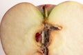 Sliced wormy apple macro image on white background. Close up of fresh ripe fruit with core and kernels affected by maggot pest Royalty Free Stock Photo