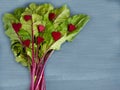 Sliced young beet leaves and heart shaped blue background