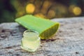 Slices of a aloe vera leaf and a bottle with transparent gel for medicinal purposes, skin treatment and cosmetics, close Royalty Free Stock Photo