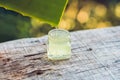 Slices of a aloe vera leaf and a bottle with transparent gel for medicinal purposes, skin treatment and cosmetics, close Royalty Free Stock Photo