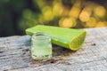 Slices of a aloe vera leaf and a bottle with transparent gel for Royalty Free Stock Photo