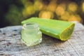 Slices of a aloe vera leaf and a bottle with transparent gel for Royalty Free Stock Photo