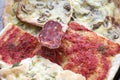 Slices of assorted pizza and salami