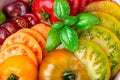 Slices of assorted tomatoes. Full frame. Food background Royalty Free Stock Photo