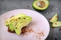 Slices of avocado with spices on a piece of bread on a plate on a gray background, half a fresh avocado Royalty Free Stock Photo