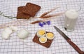 Slices of bread with eggs, glass of milk, rye and bluebell flower on checkered table-napkin Royalty Free Stock Photo