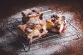 Slices of cherry cake on a cooling hatch Royalty Free Stock Photo