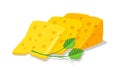 Slices of delicious swiss or dutch yellow porous cheese for toasts, sandwiches garnished with greenery.