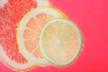 Slices of different citrus fruits in sparkling water on pink background, closeup Royalty Free Stock Photo