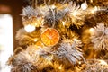 Slices of dried oranges decorate the Christmas tree, close-up Royalty Free Stock Photo