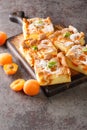 Slices of fresh apricot iced sponge cake with fruits closeup on the wooden board. Vertical Royalty Free Stock Photo