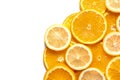 Slices of fresh citrus fruits on white background Royalty Free Stock Photo