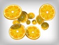 Slices of fresh citrus orange falling and flying