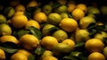 Slices of fresh juicy yellow lemons and limes on a table