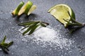 Slices of fresh lime, salt and rosemary dark concrete background. Copy space. Ingredients for making a tequila cocktail Royalty Free Stock Photo