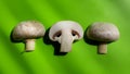 Slices fresh mushroom champignon on green background