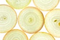 Slices of fresh Onion / background / back lit