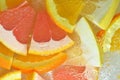Slices of grapefruit, orange fruit and honey pomelo in water on white background. Pieces of grapefruit, orange fruit and Royalty Free Stock Photo