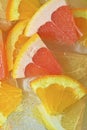 Slices of grapefruit, orange and pomelo in water on white background. Pieces of grapefruit, orange fruit and honey Royalty Free Stock Photo