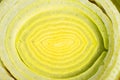 Slices of green leek. Close up. Royalty Free Stock Photo